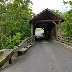 Meet your Posher, Patty